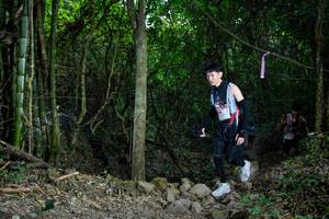 BIB: 
                            <button type="button" onclick="openModal(19440679)" class="btn btn-primary btn-sm float-right btn-popup" data-toggle="modal" data-target=".modal-high-quality">
                        <i class="fas fa-shopping-cart"></i> Add to Cart
                    </button>
                                            <button type="button" onclick="isThisMe(19440679, true)" class="btn btn-success btn-sm float-right btn-popup btn-isme hidden" data-toggle="tooltip" data-placement="bottom" title="นี่คือรูปของคุณใช่ไหม คลิกที่นี่เพื่อเอาเข้าอัลบั้ม">
                        <i class="fas fa-plus"></i> Add to album
                    </button>
                    <button type="button" onclick="isThisMe(19440679, false)" class="btn btn-warning btn-sm float-right btn-popup btn-isnotme hidden">
                        <i class="fas fa-ban"></i> Remove from album
                    </button>